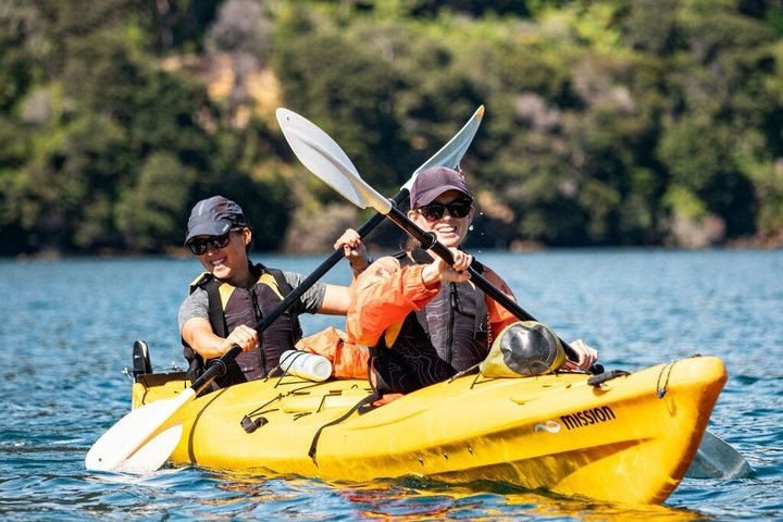 Half-Day Guided Sea Kayak Trip from Picton - Photo 1 of 9